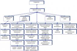 Развернутая схема структуры органов управления Учреждением